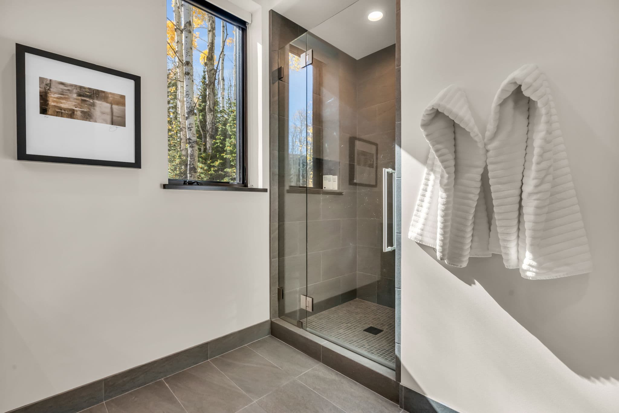 Walk-in Shower with Glass Door