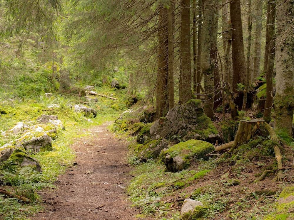 Hiking
