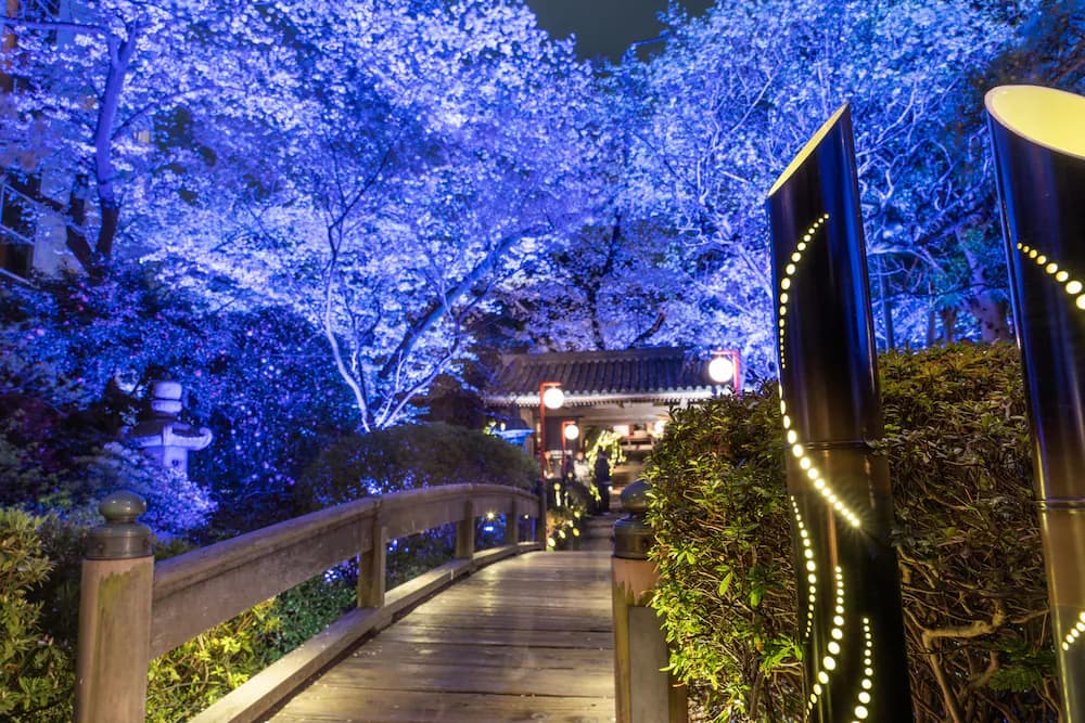 Japanese garden