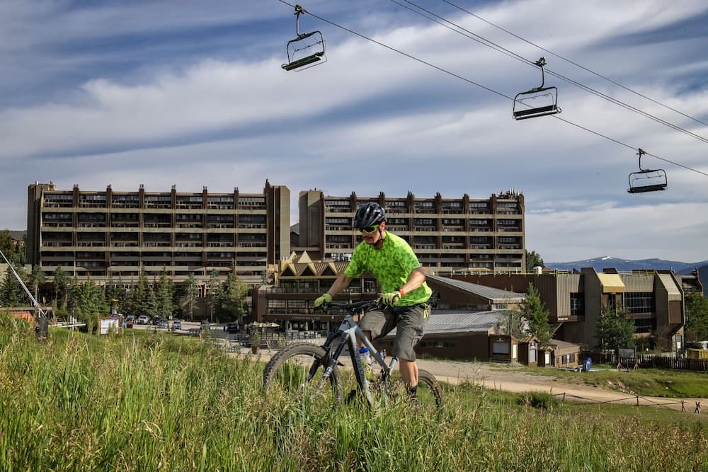 Primary image