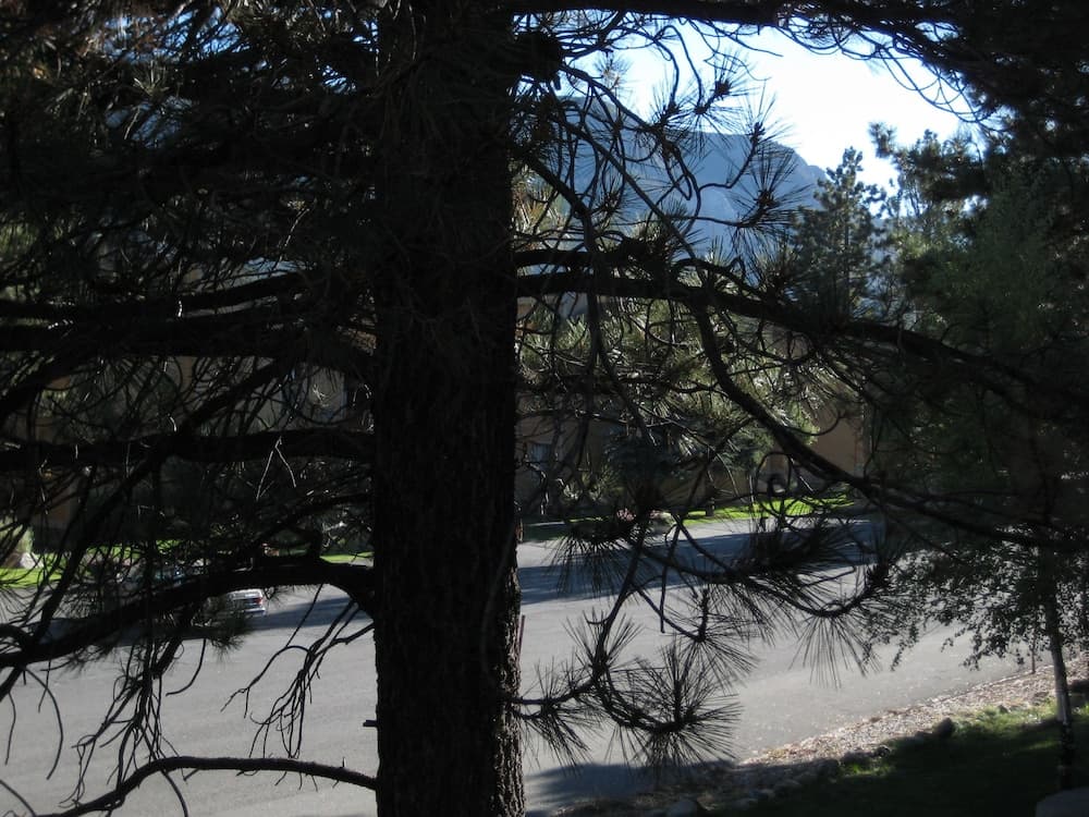 View from room