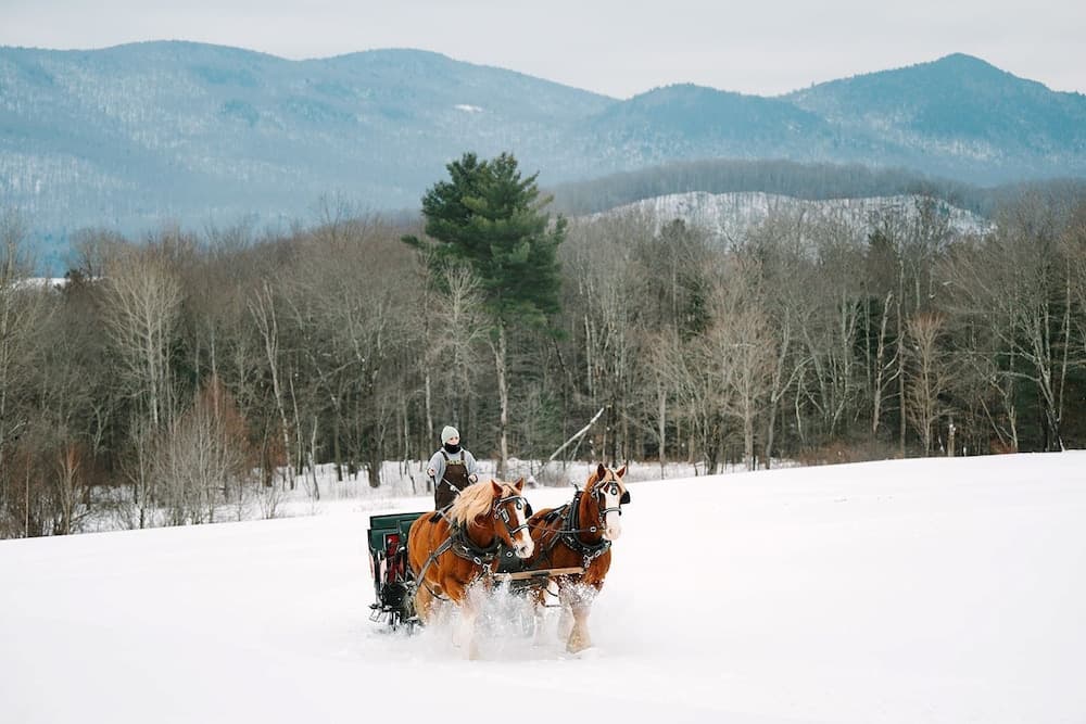 Horseback riding