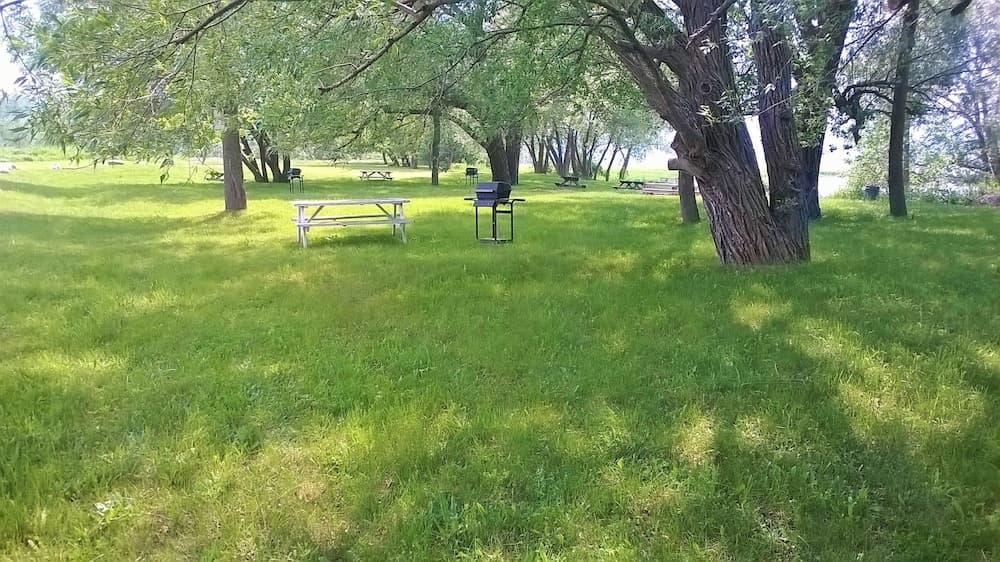BBQ/picnic area