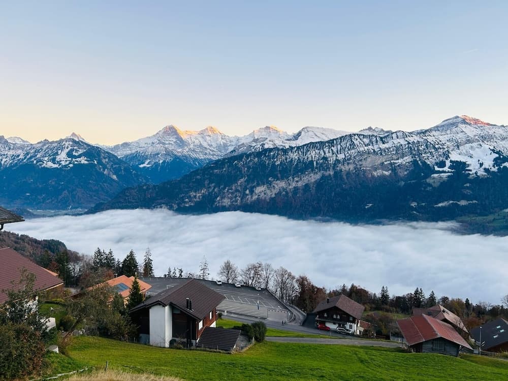 View from property