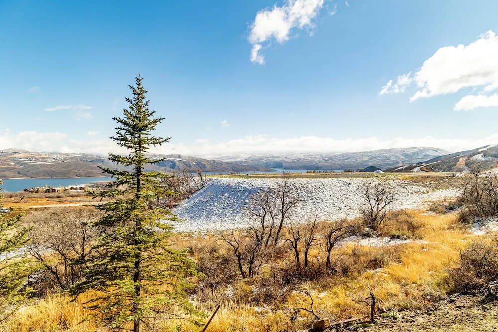 Lake view
