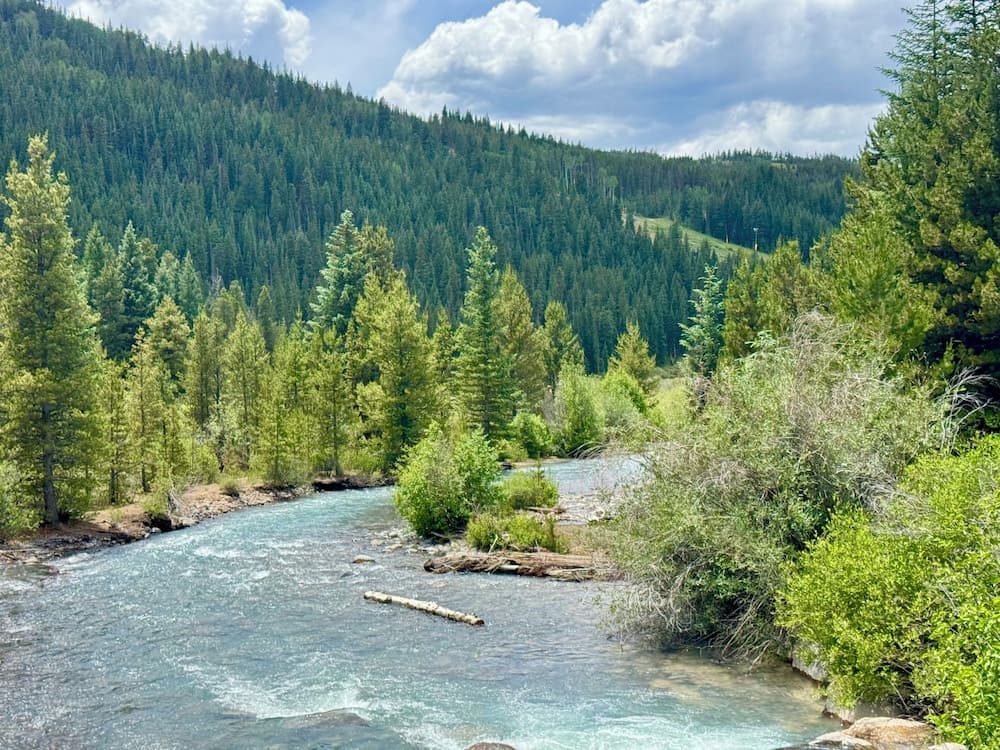 Primary image