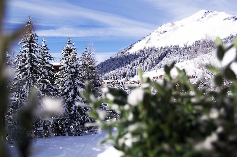 View from room