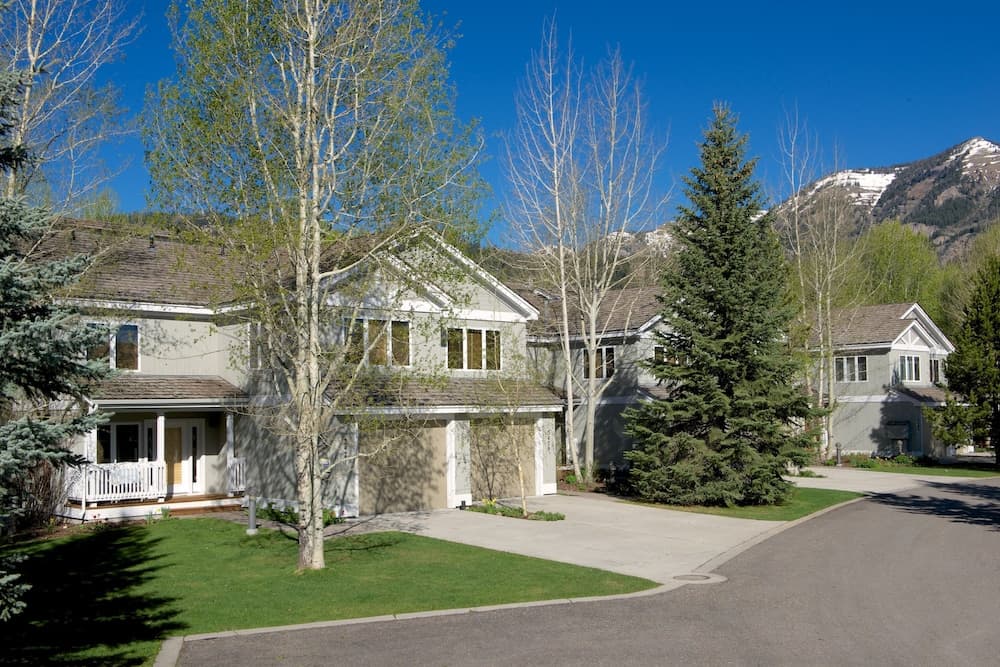 Primary image