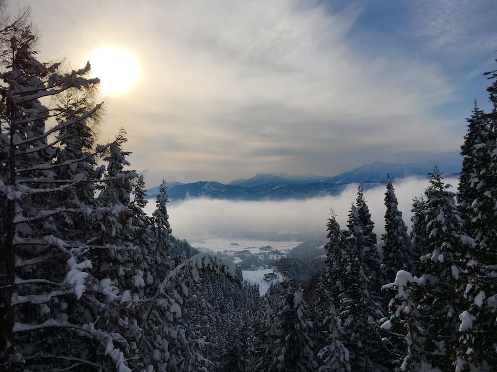 City view from property