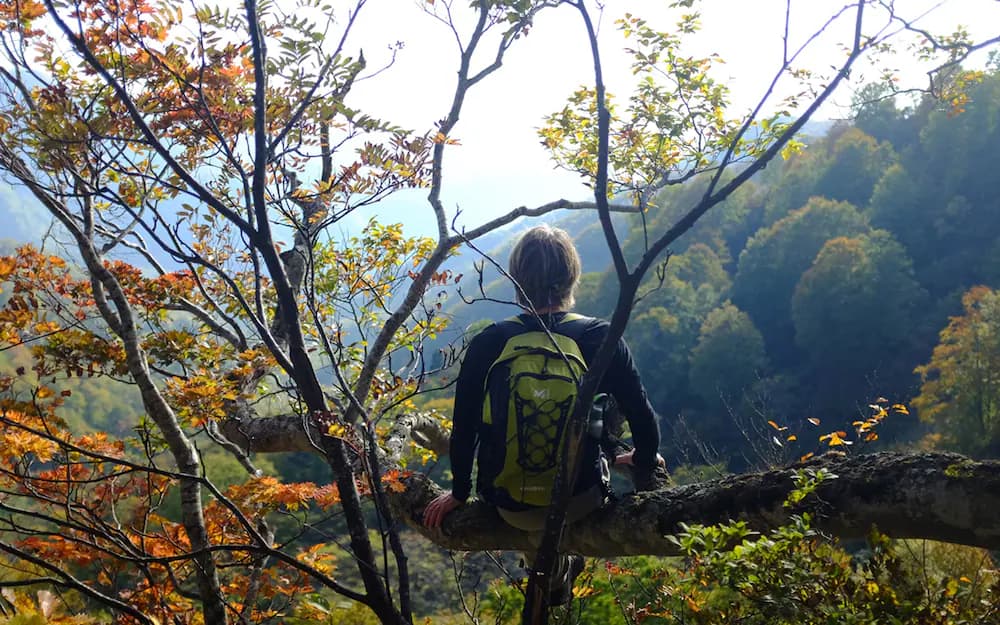 Hiking