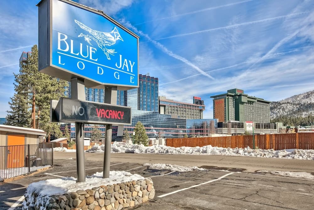 Primary image