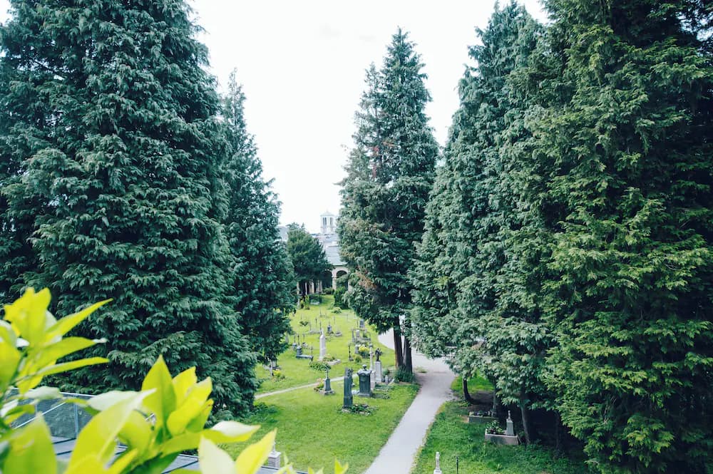 View from property