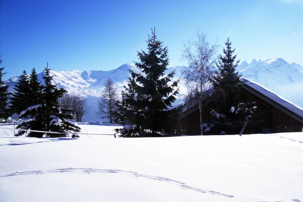 Skiing