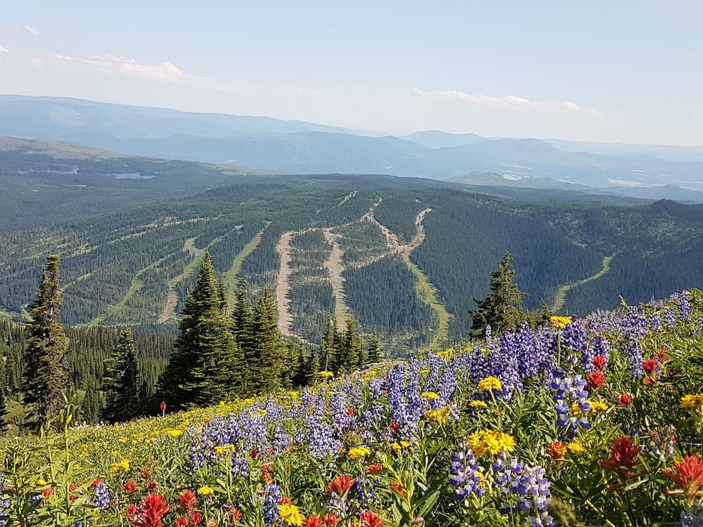 Hiking
