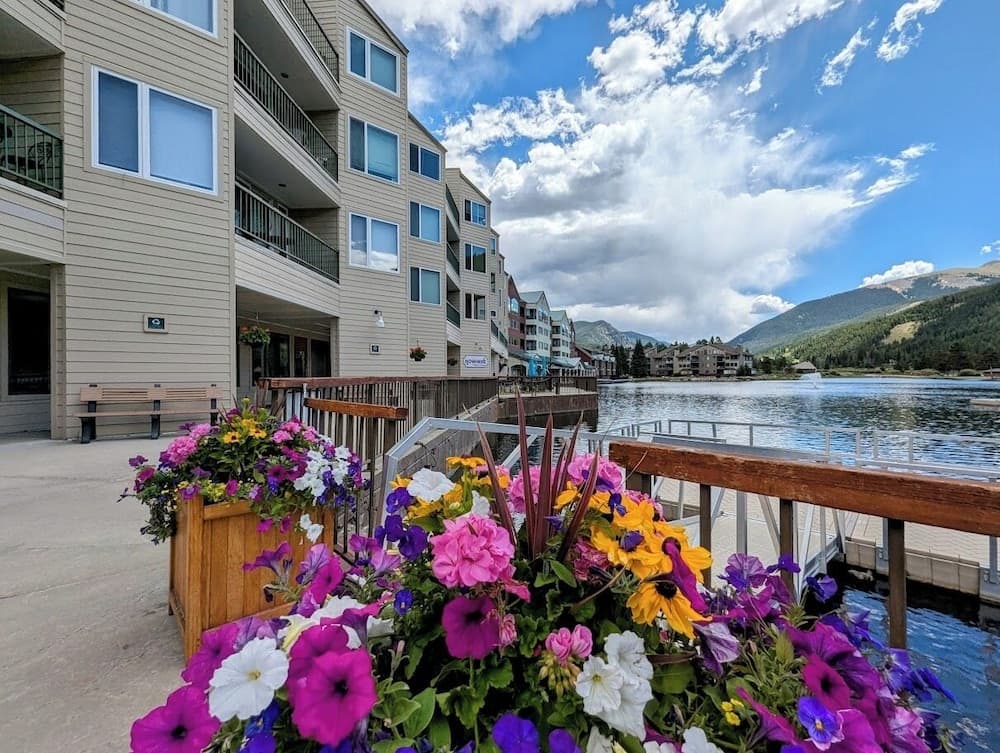 Primary image