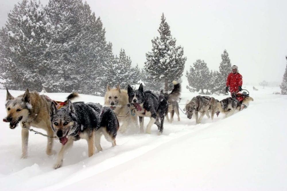 Snowshoeing
