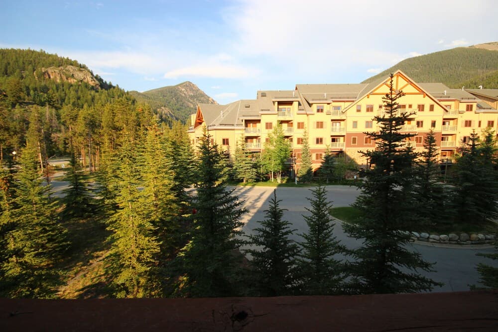 View from room