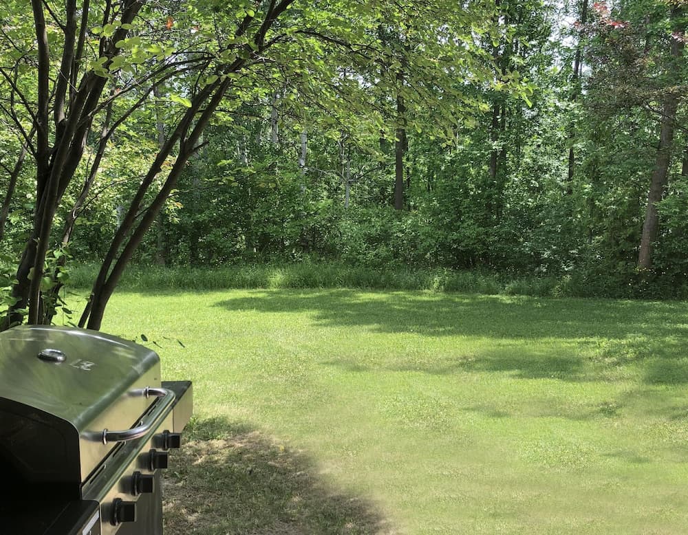 BBQ/picnic area