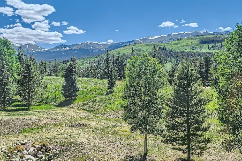 Mountain view