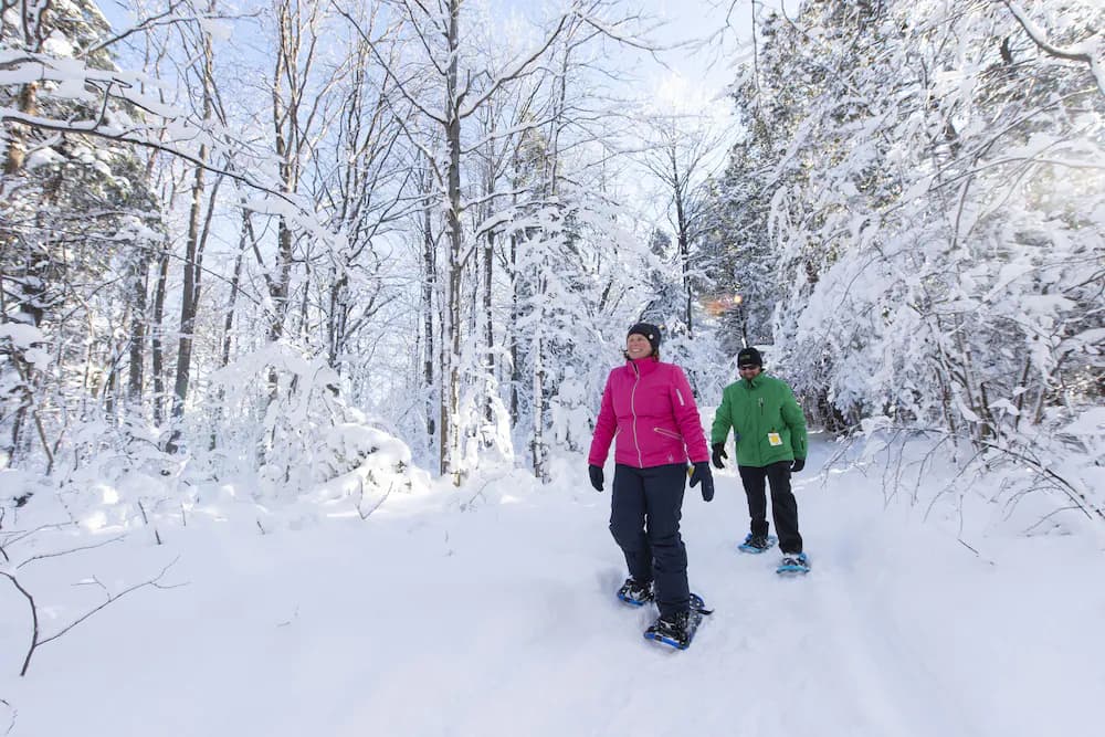 Snowshoeing