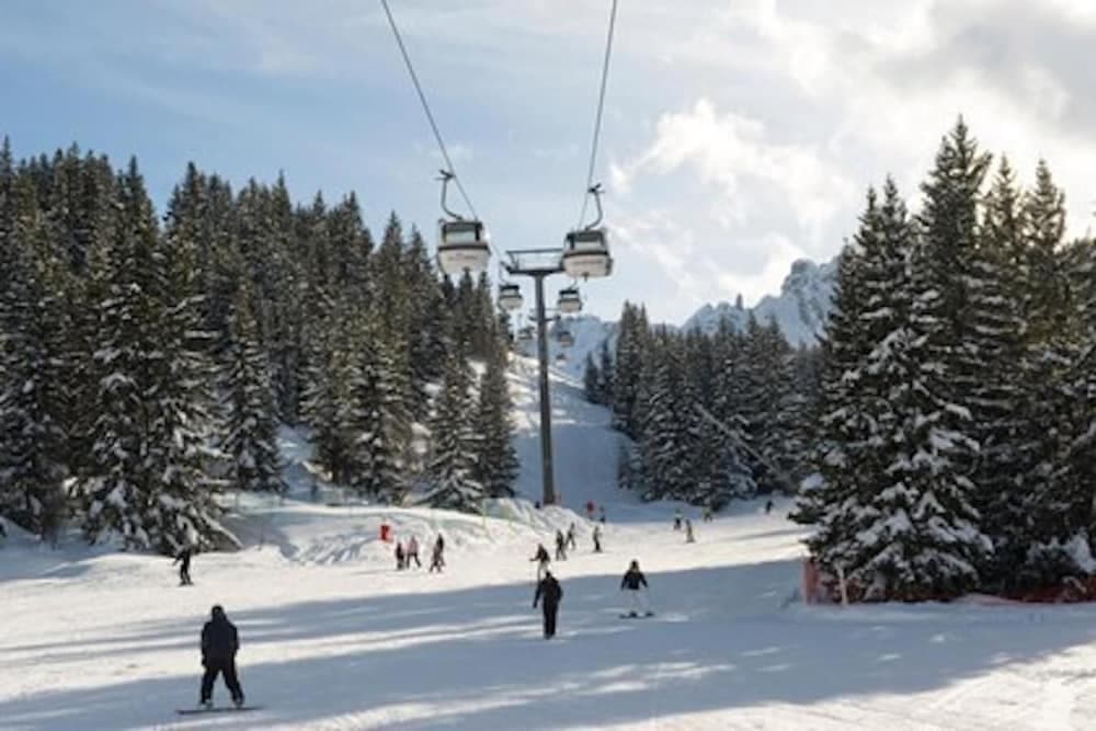 Snow and ski sports