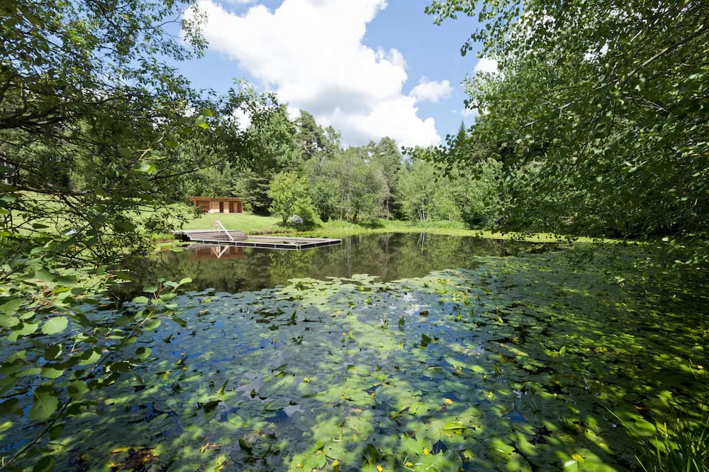 Lake view
