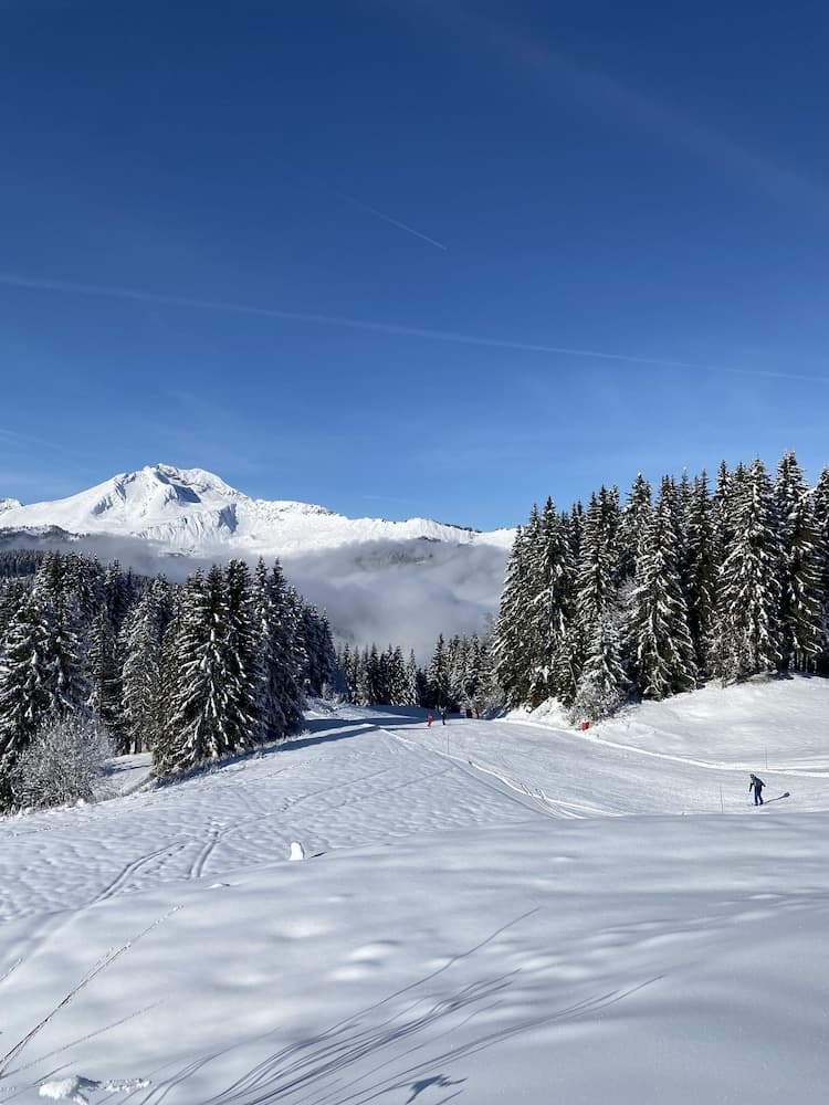 Snow and ski sports