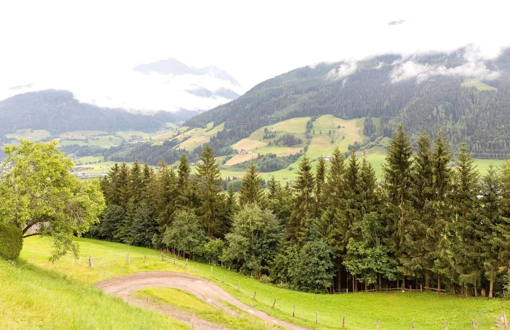View from property