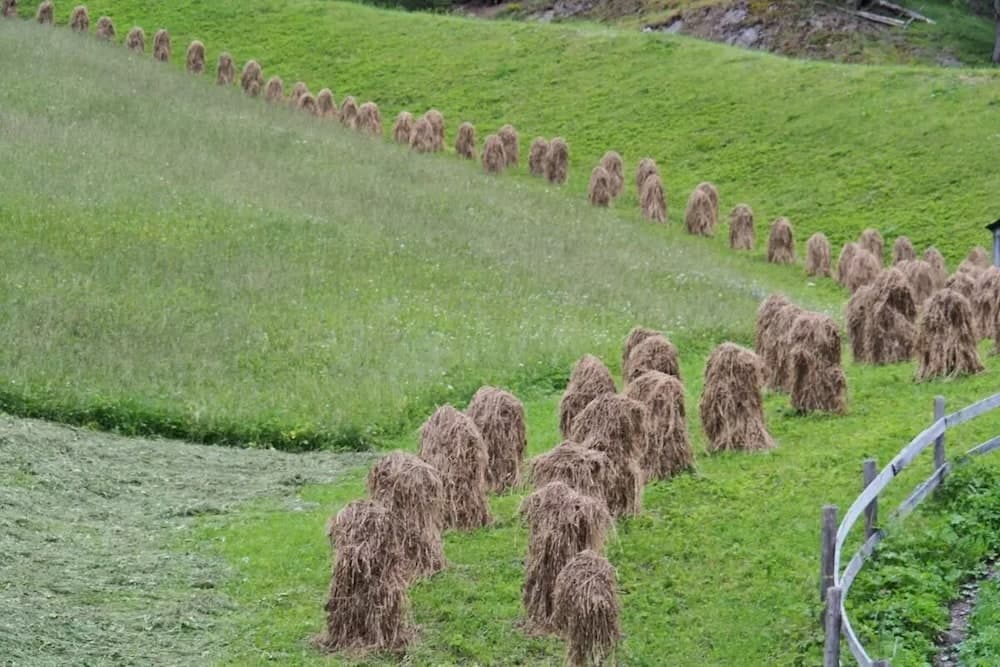 Hiking