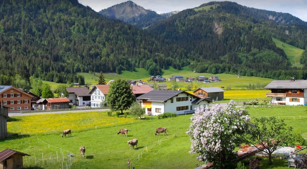 Mountain view