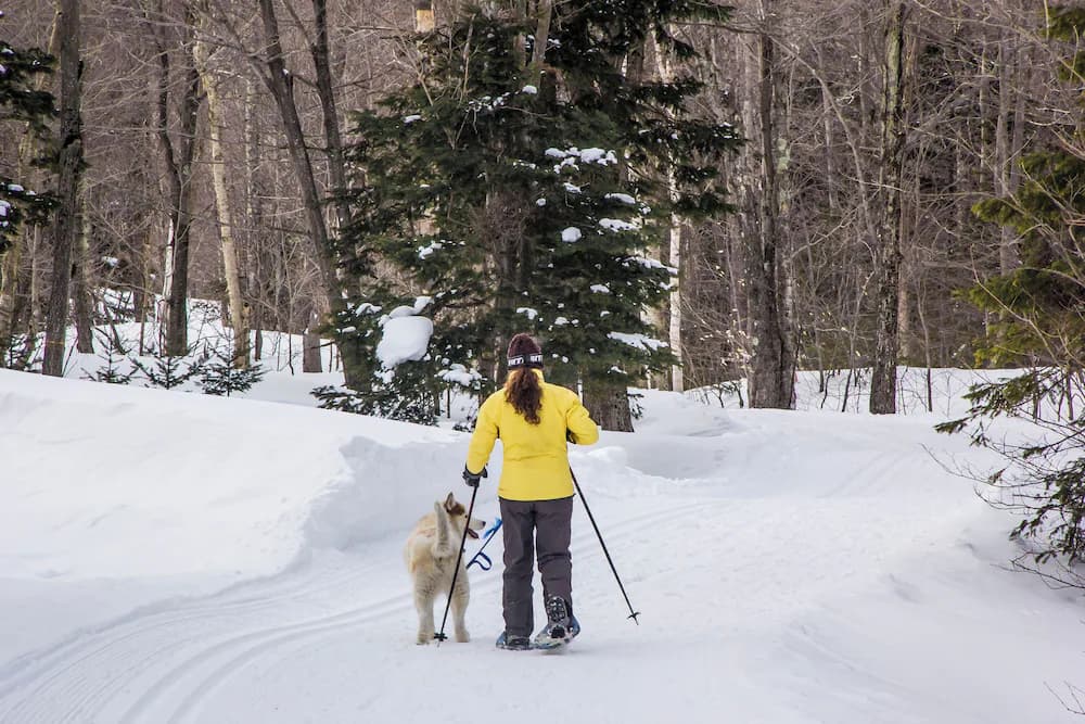 Snowshoeing