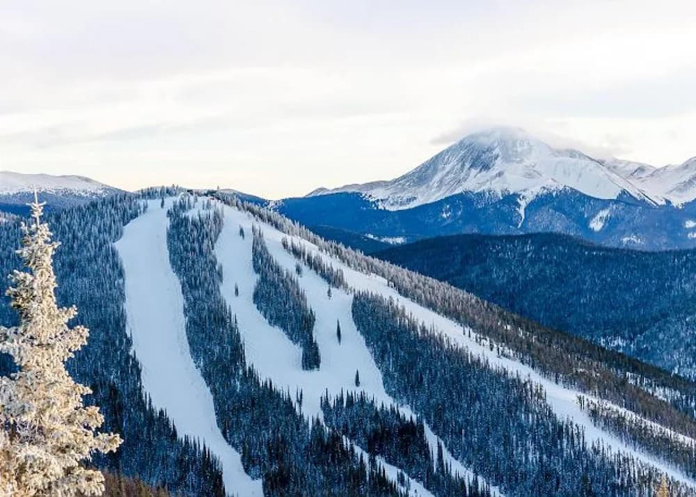 Snow and ski sports