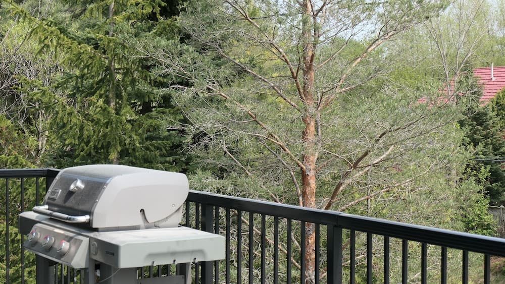 BBQ/picnic area