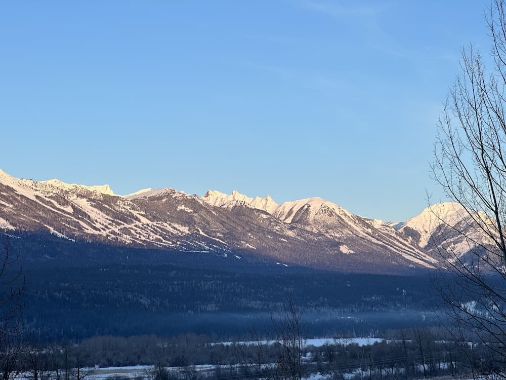 View from property