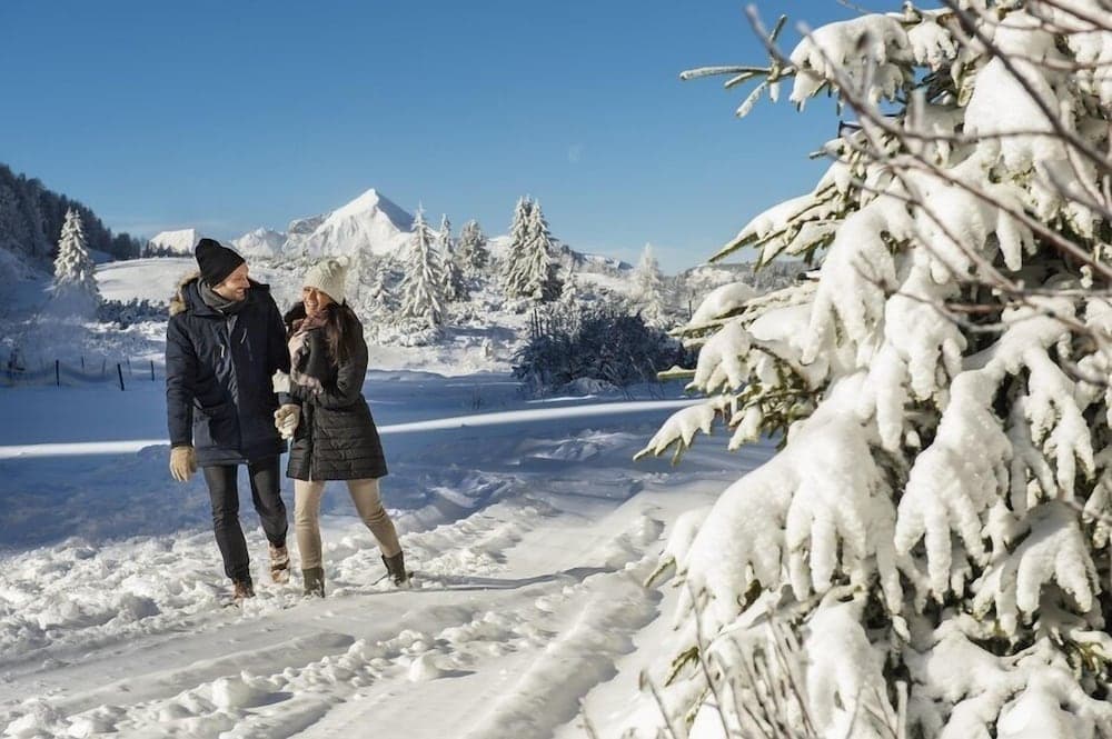 Snowshoeing