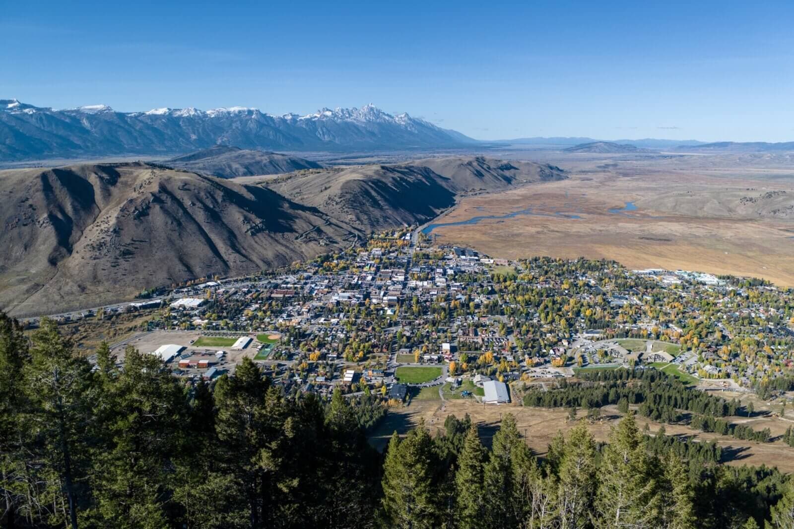 Town of Jackson