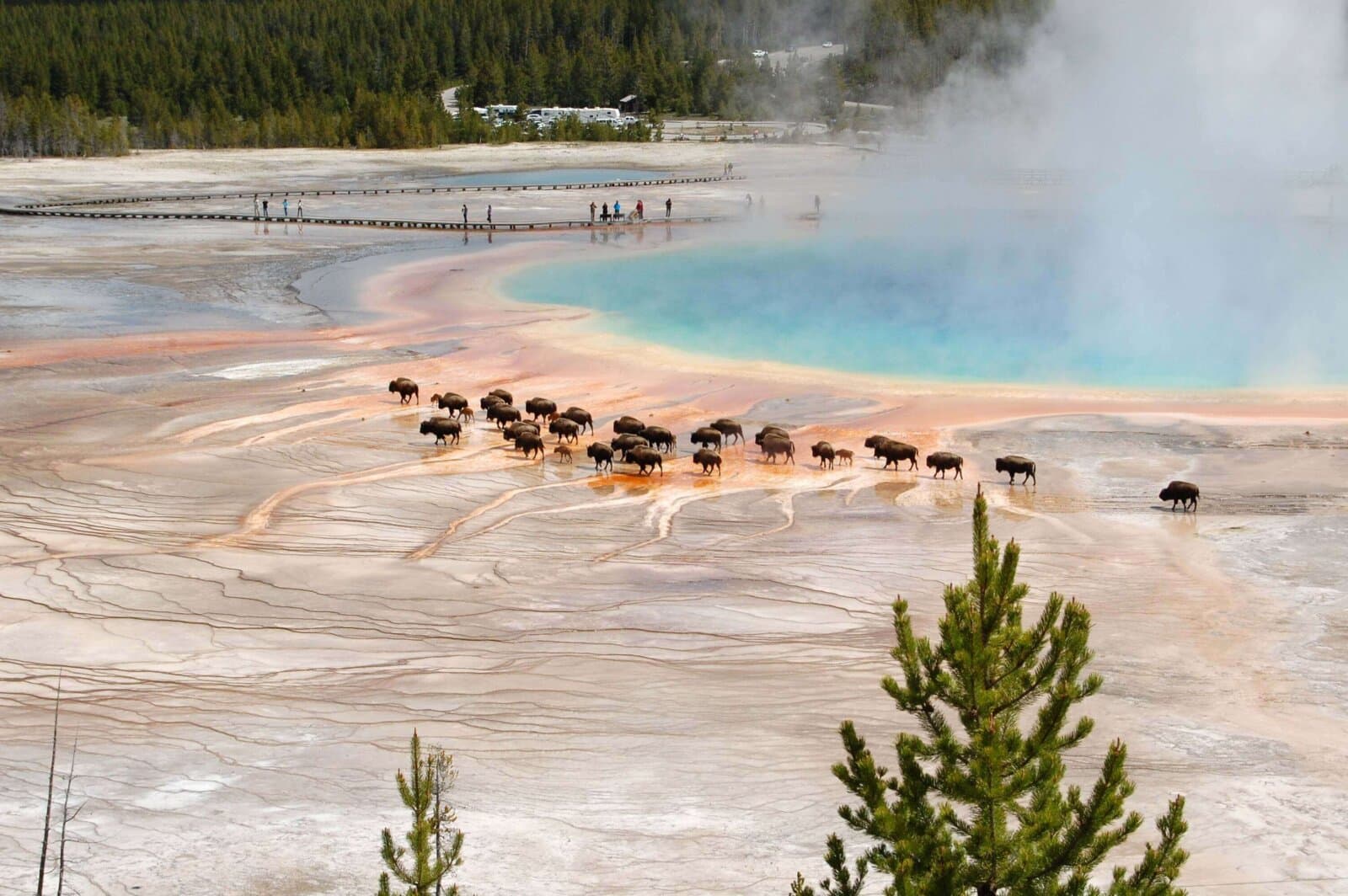 Yellowstone National Park