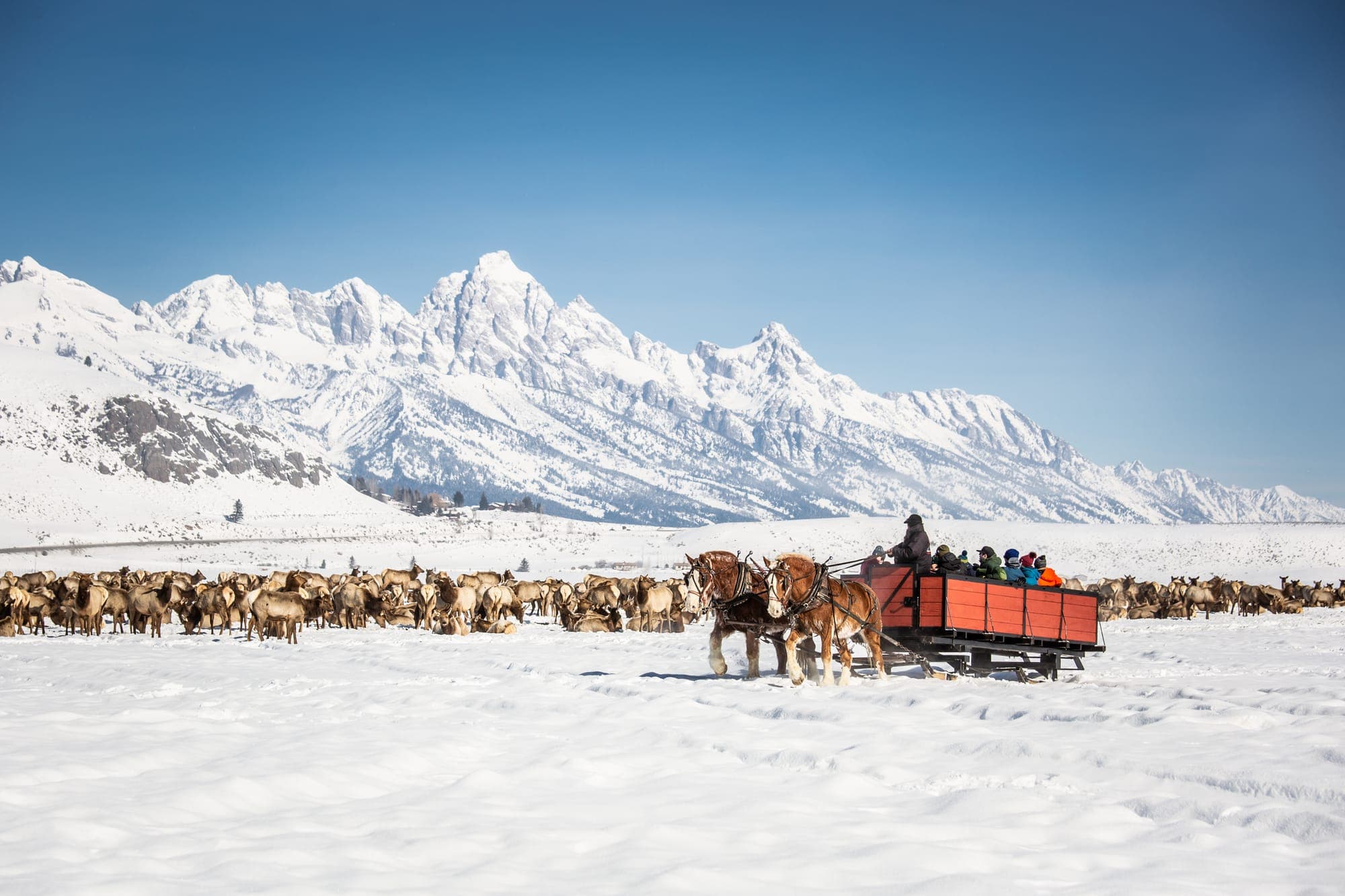 Winter in Jackson Hole