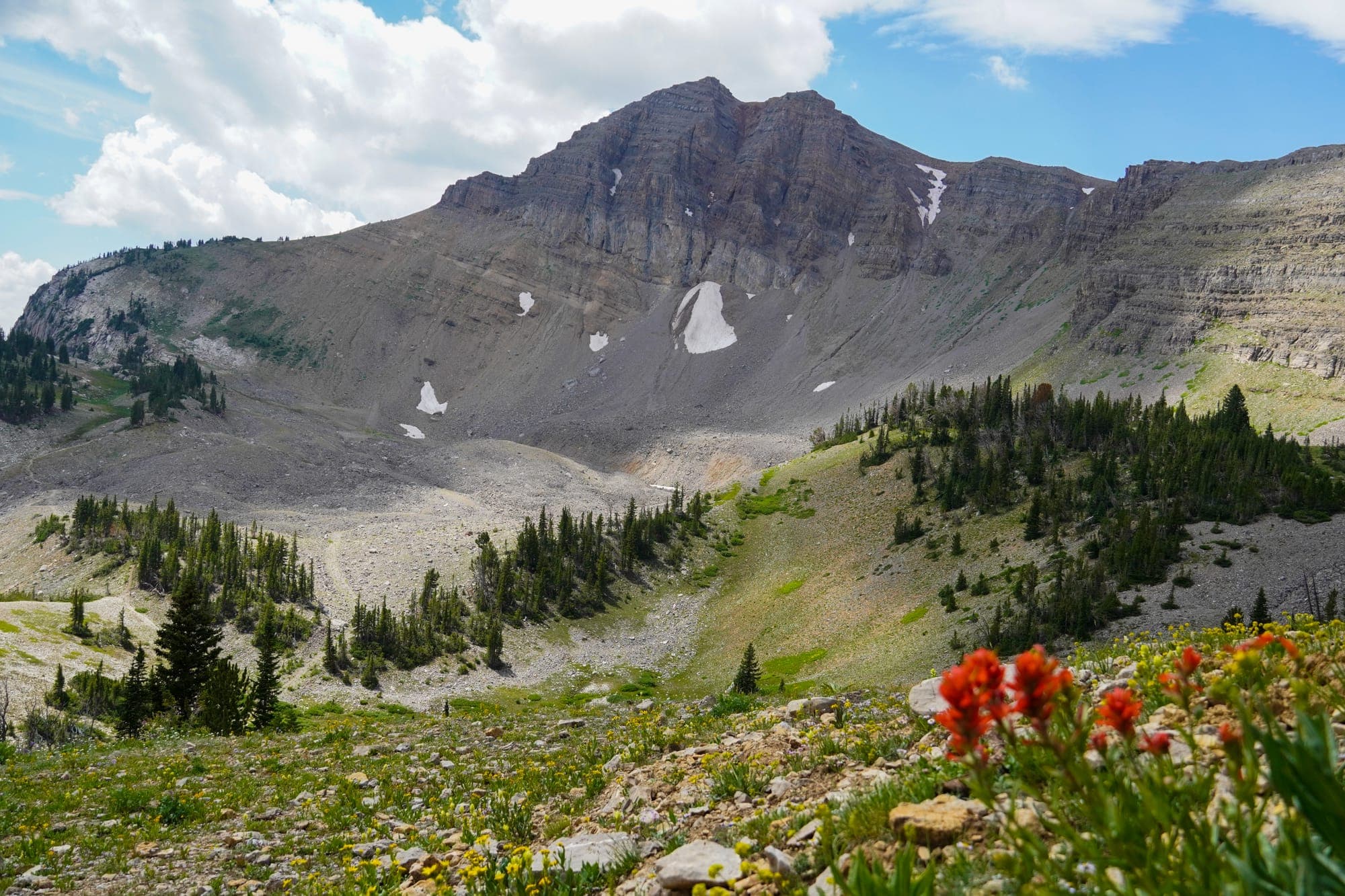 Let's Build Your Dream Jackson Hole Trip