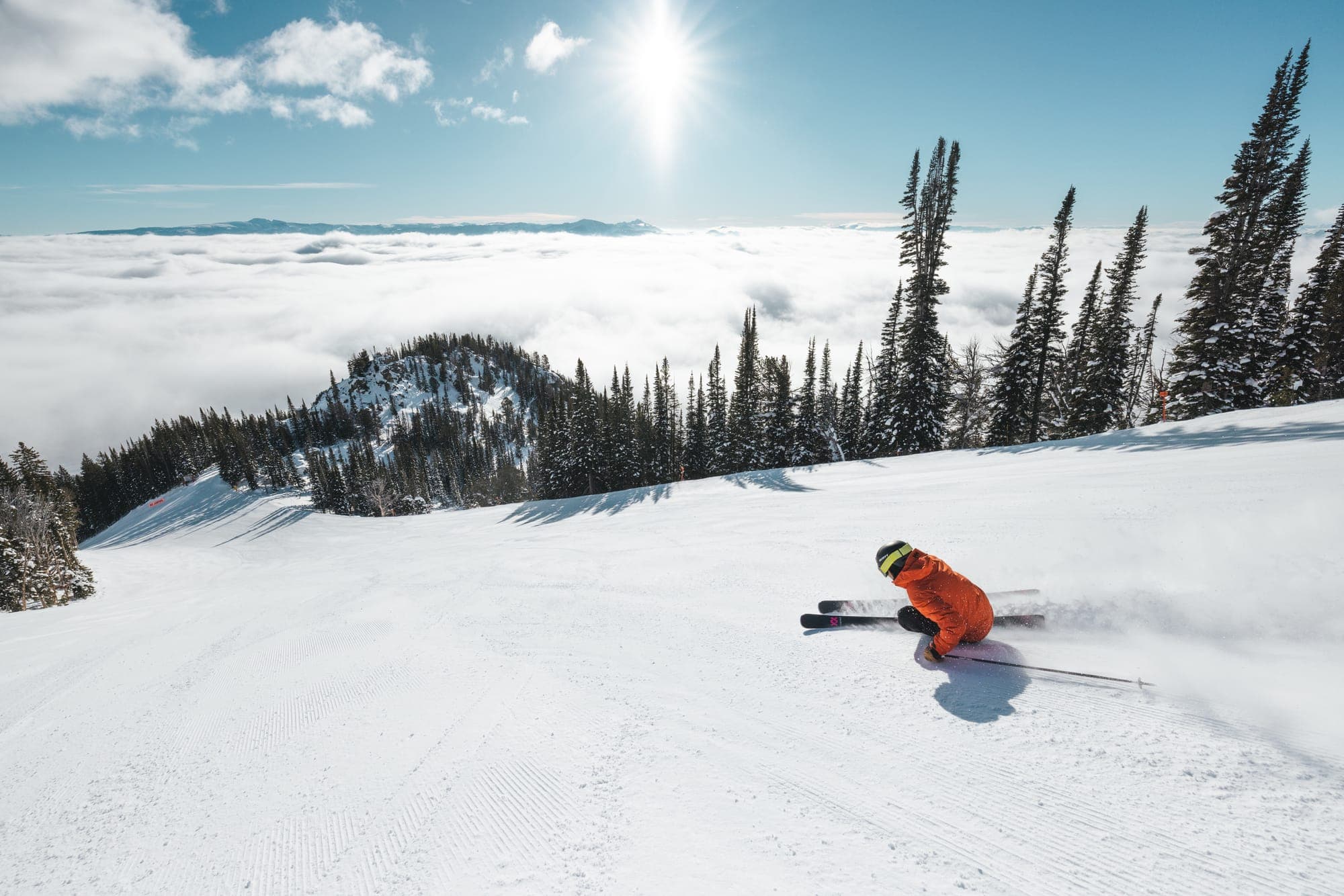 Skiing & Snowboarding