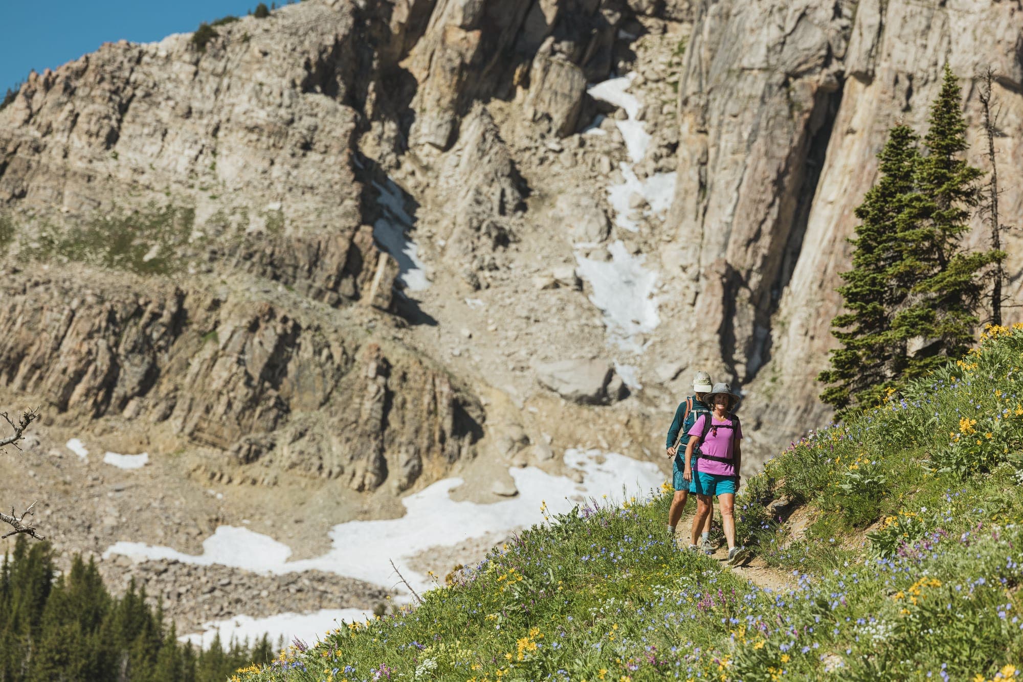 Guided Hikes & More